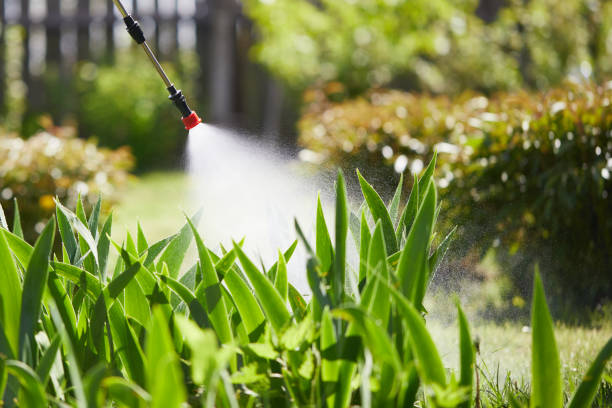 24/7 Emergency Ant Control experts in Barrington, IL